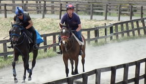 育成時代のヤマニンレフルール