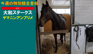 今週の特別競走登録・ヤマニンアンプリメ