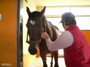 在りし日のヤマニンシャレードと瑛児氏