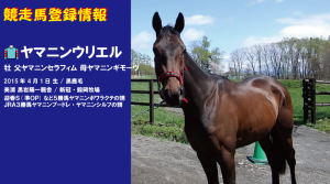 競走馬登録・ヤマニンウリエル