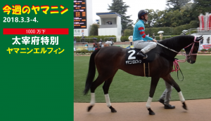 今週のヤマニン・ヤマニンエルフィン