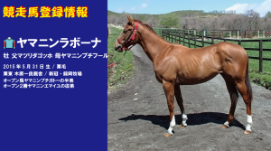 競走馬登録・ヤマニンラボーナ