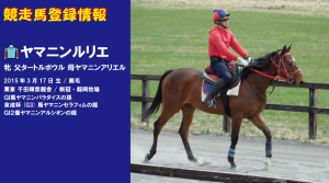 競走馬登録・ヤマニンルリエ
