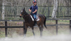 育成時代のヤマニンフレッチェ