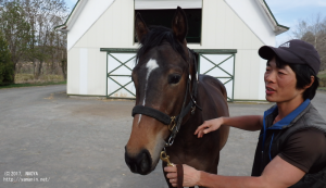 育成時代のヤマニンフレッチェ