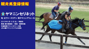 競走馬登録・ヤマニンセリネット