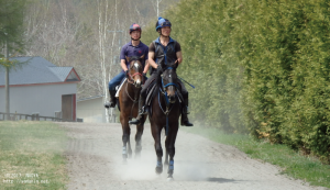 育成時代のヤマニンセリネット(とレフルール)