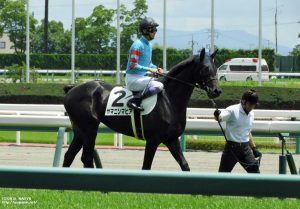 ヤマニンマヒア、デビューのターフへ