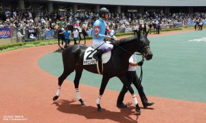 ヤマニンマヒアと武豊騎手