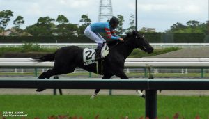 ヤマニンマヒア、3着デビュー