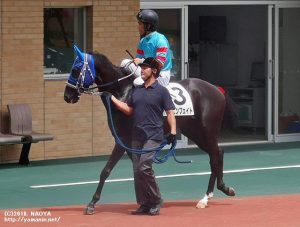 ヤマニンフェイトと岩崎騎手