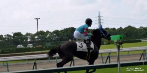 尻尾が短いヤマニンフェイト