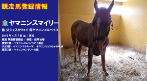 競走馬登録・ヤマニンスマイリー