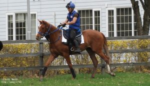 育成時代のヤマニングレナデン