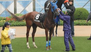 習志野特別のヤマニンリュウセイ