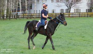 育成時代のヤマニンベイパー