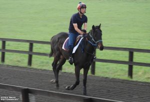 育成時代のヤマニンベイパー