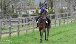 育成時代のヤマニンポンペルモ