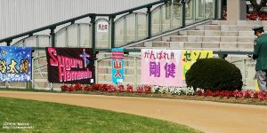 京都競馬場の応援幕