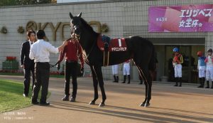 デイリー杯2歳S・パドックのヤマニンマヒア