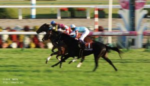 デイリー杯2歳S・ゴールするヤマニンマヒア