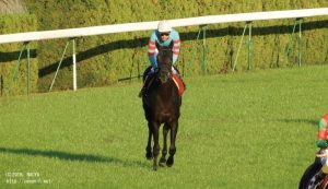 デイリー杯2歳S・ゴール後のヤマニンマヒア