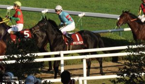 デイリー杯2歳S・ゴール後のヤマニンマヒア