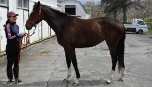 育成時代のヤマニンアネッリ