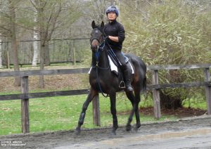育成時代のヤマニンポラール