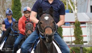 育成時代のヤマニンラファーガ