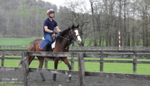 育成時代の競走馬登録・ラジュンジェレ