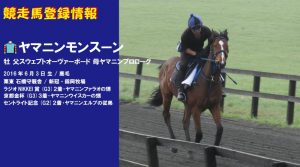 競走馬登録･ヤマニンモンスーン