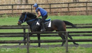 育成時代のデナーダー