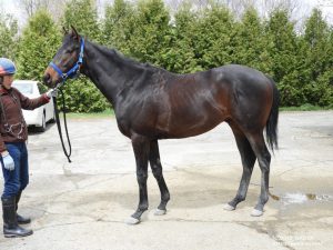 育成時代のデナーダー