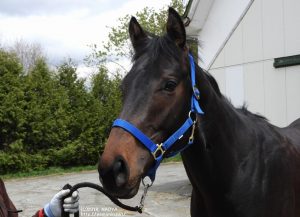 育成時代のデナーダー