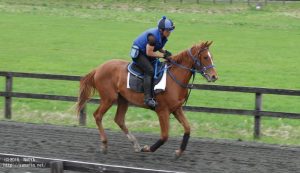 育成時代のヤマニングレナデン