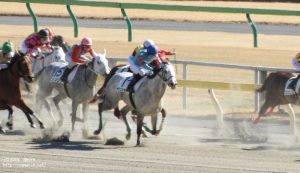 ４歳上500万下・ヤマニンリュシオル