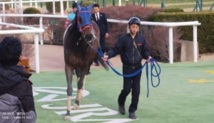 大和S(OP)優勝・ヤマニンアンプリメ