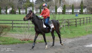 育成時代のラキウラ