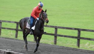 育成時代のラキウラ