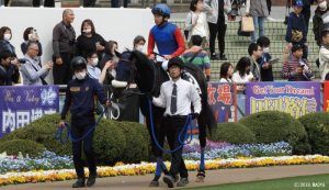 パドックのラキウラと柴田大騎手