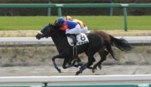 ラキウラ・３歳未勝利４着