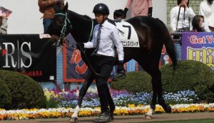 パドックのヤマニンスパツィオ