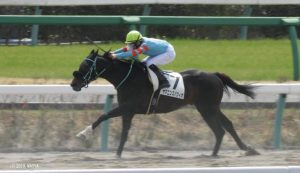 中山最後の直線のヤマニンスパツィオ