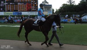 外房ステークスのヤマニンレジスタ