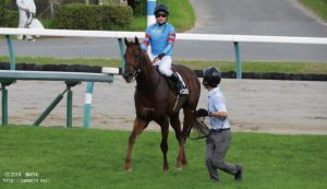 外房ステークス後のヤマニンレジスタ