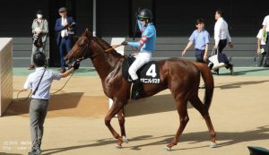 外房ステークス後のヤマニンレジスタ