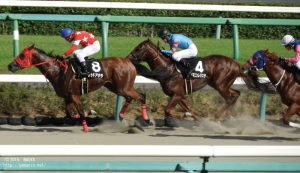 外房ステークスのヤマニンレジスタ