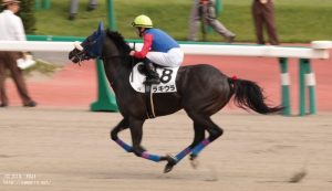 ラキウラ・本馬場入場