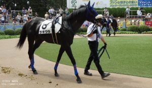 パドックのラキウラ